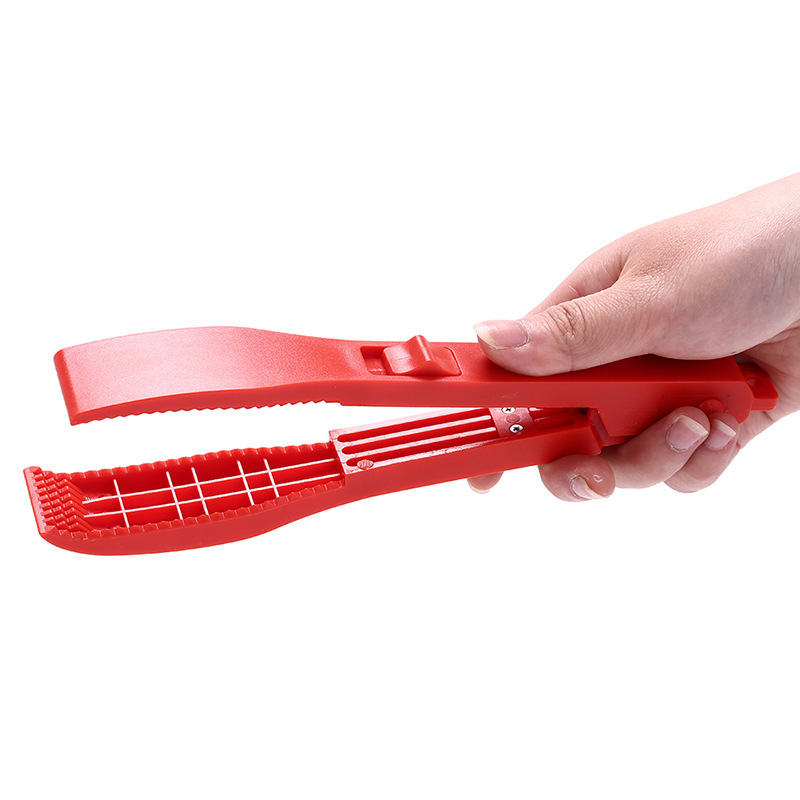 Color Random Multifunctional F - đánh giá và giá Fishing Hook Remover